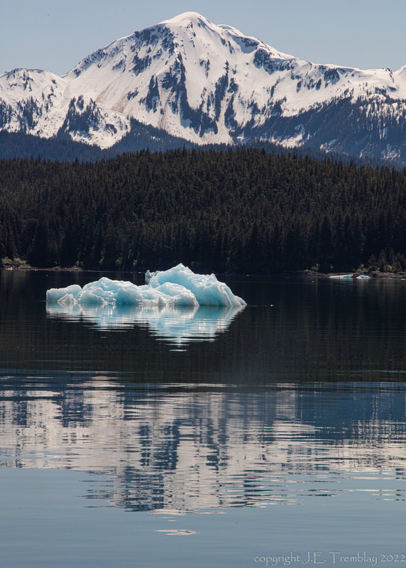 icebergs, inside passage, Alaska, Canon