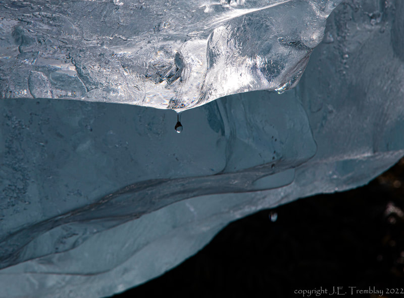 icebergs, inside passage, Alaska, Canon