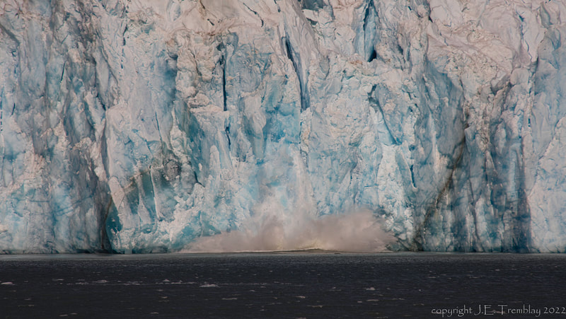 Dawes Glacier, 
icebergs, glacier, calving glacier, inside passage, Alaska, Canon
