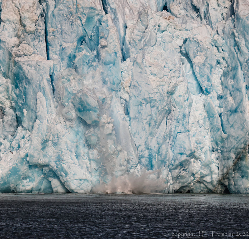 Dawes Glacier, icebergs, glacier, calving glacier, inside passage, Alaska, Canon