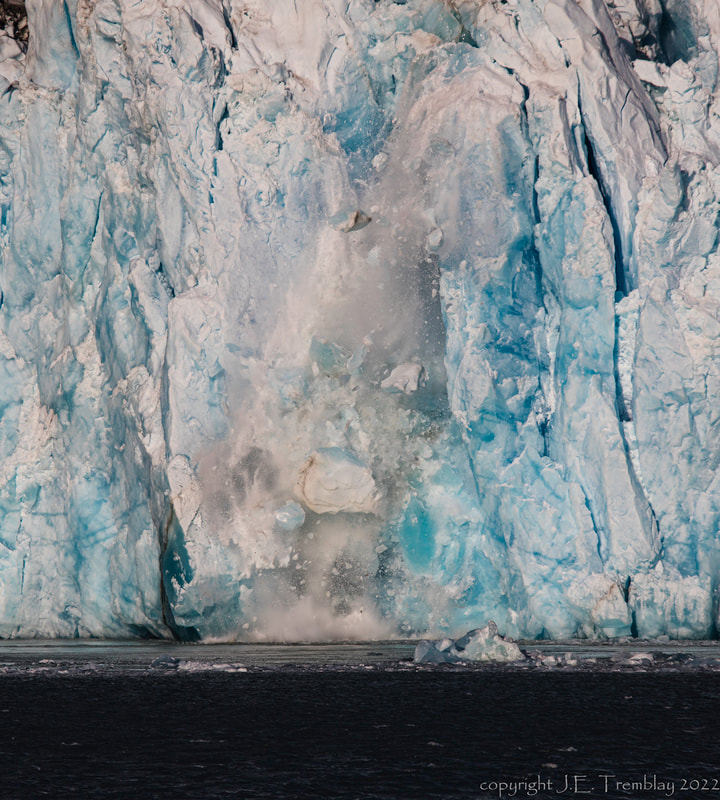 Dawes Glacier, icebergs, glacier, calving glacier, inside passage, Alaska, Canon