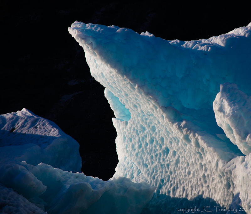 icebergs, inside passage, Alaska, Canon

