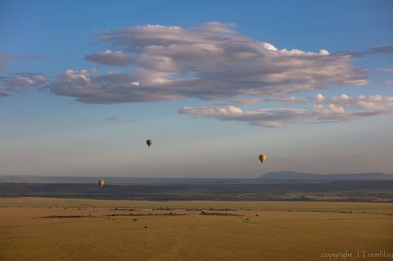 Hot Air Balloons, Africa, Safari, Canon