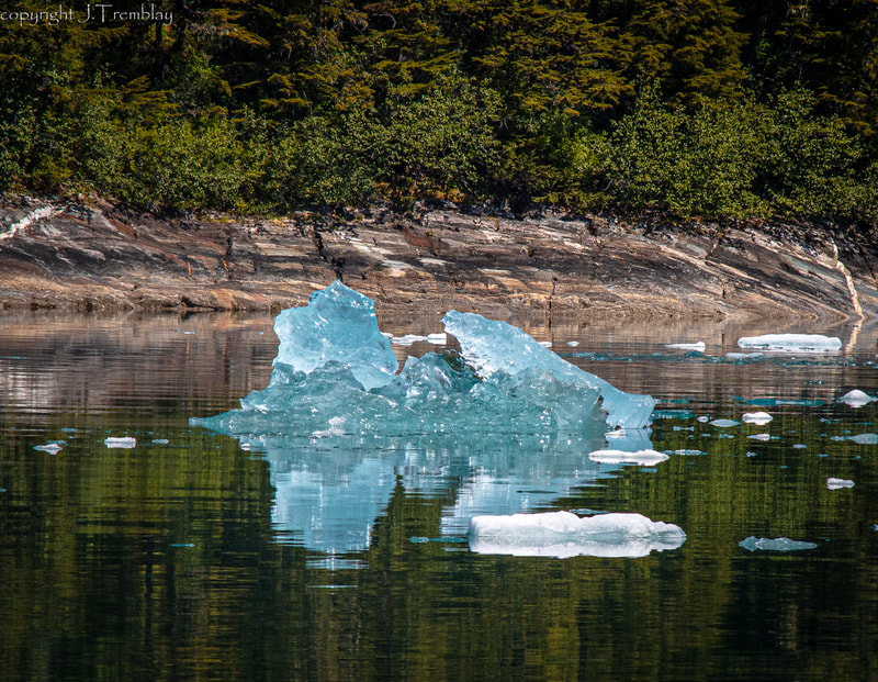 Iceberg, inside passage, Alaska, Canon