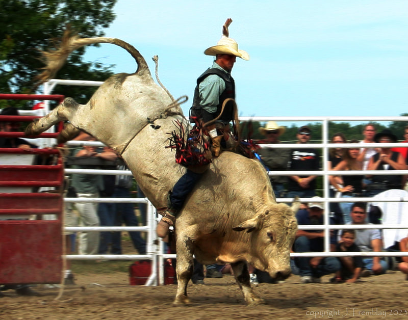 Bull Rider, Cowboy, Rodeo, Canon